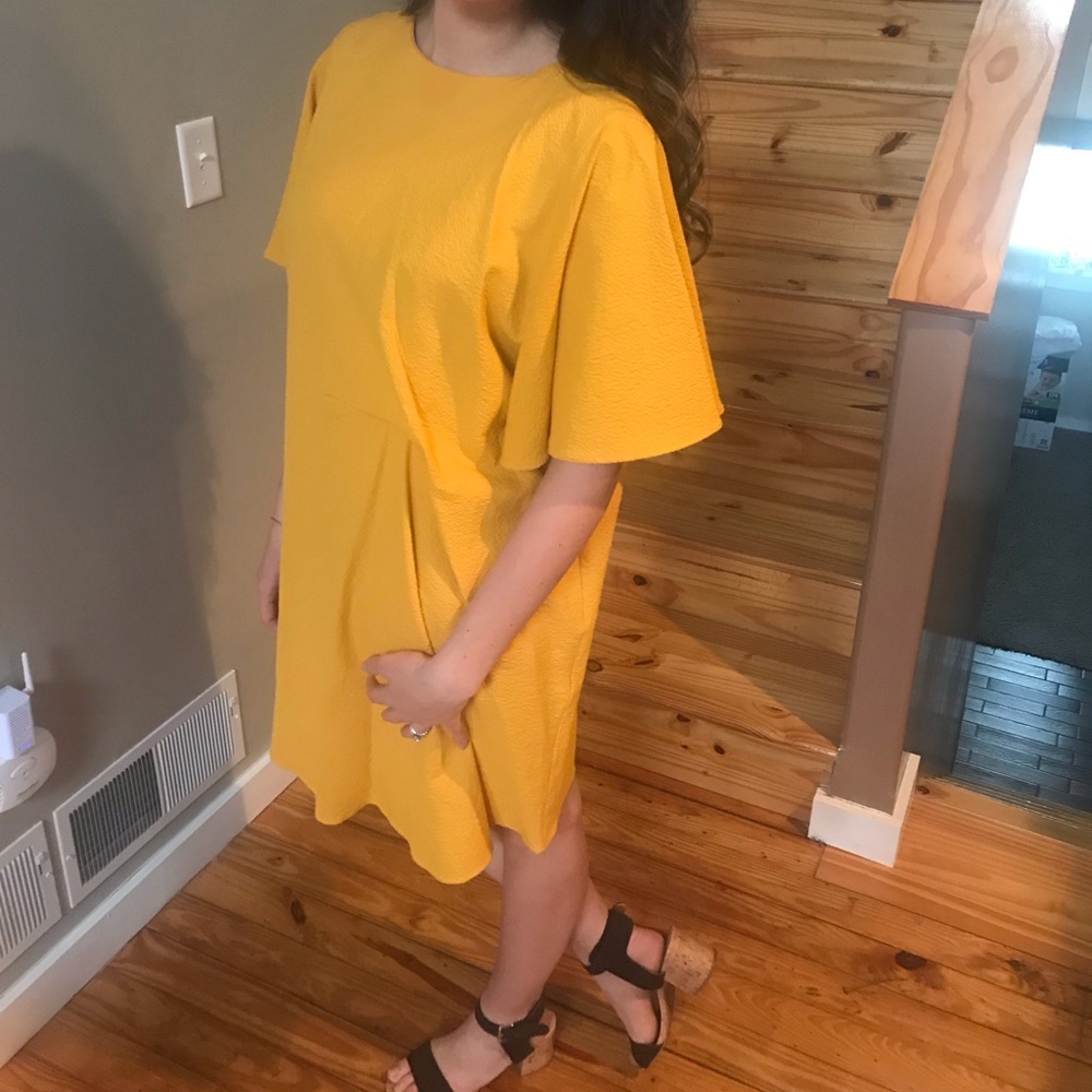 Zara Women Loose Fitting Dress NWT